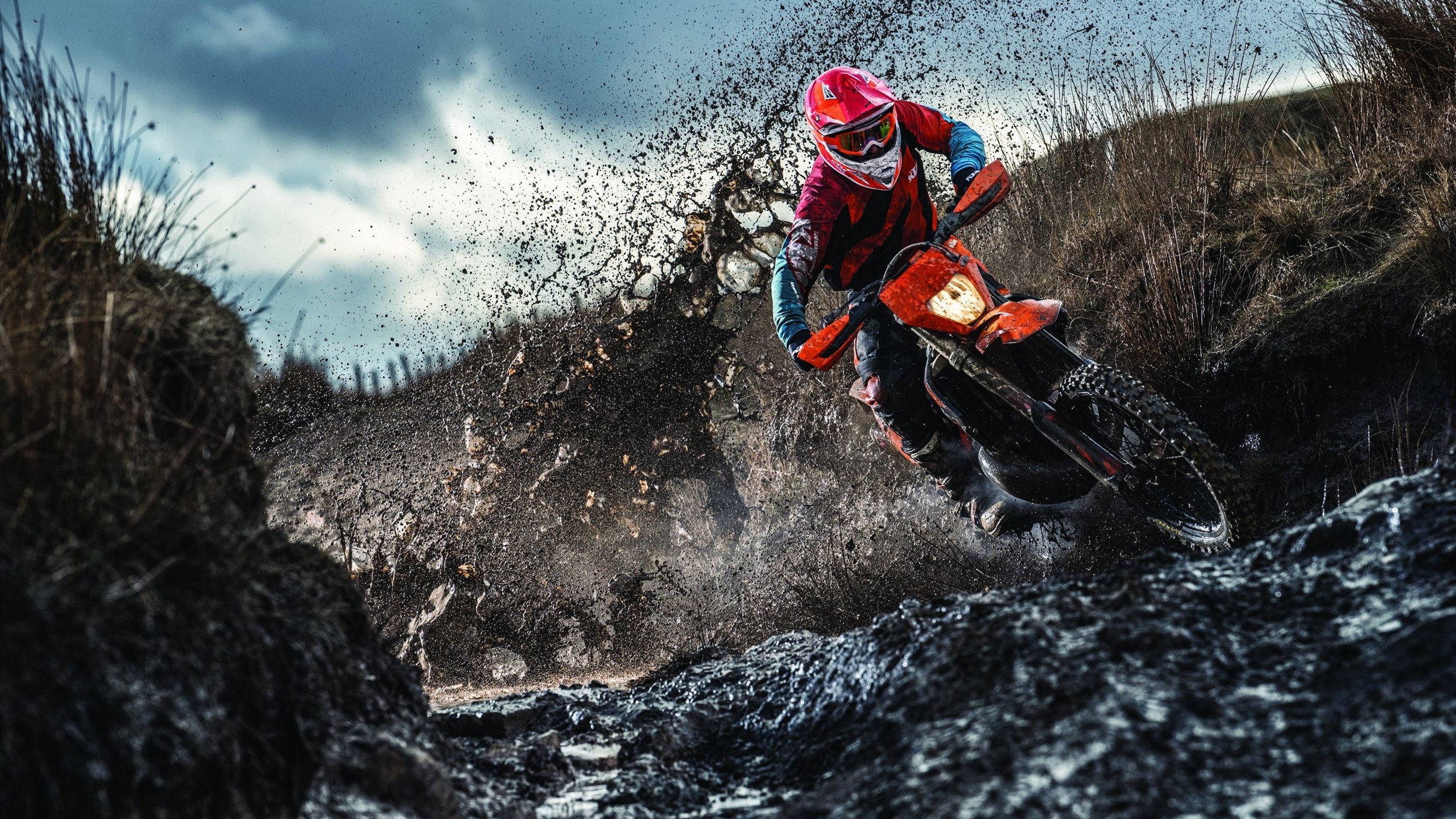 体育赛事年度报告